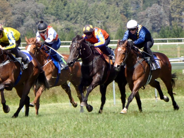 Graz trial 2