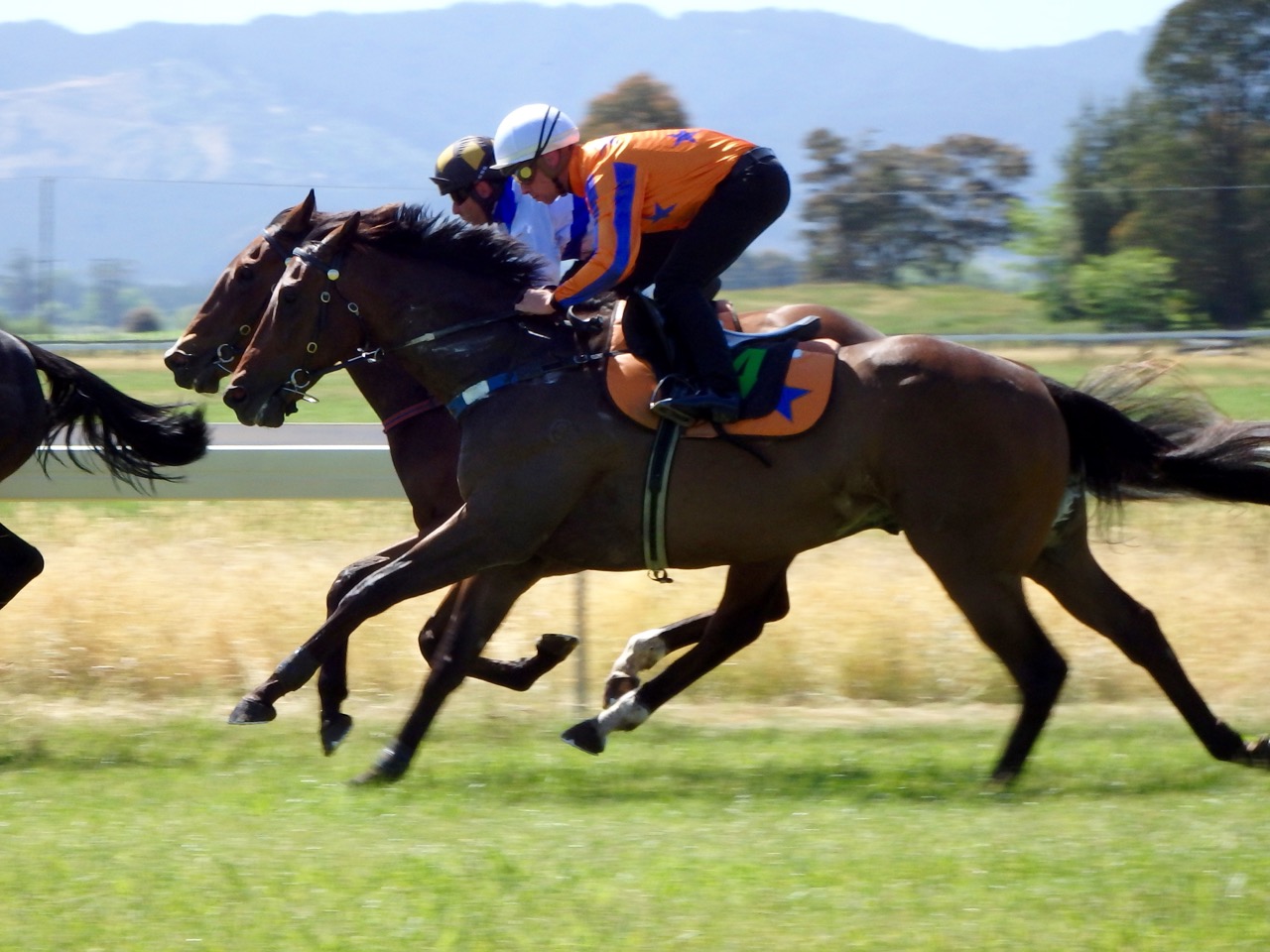 Chambord Nov trial