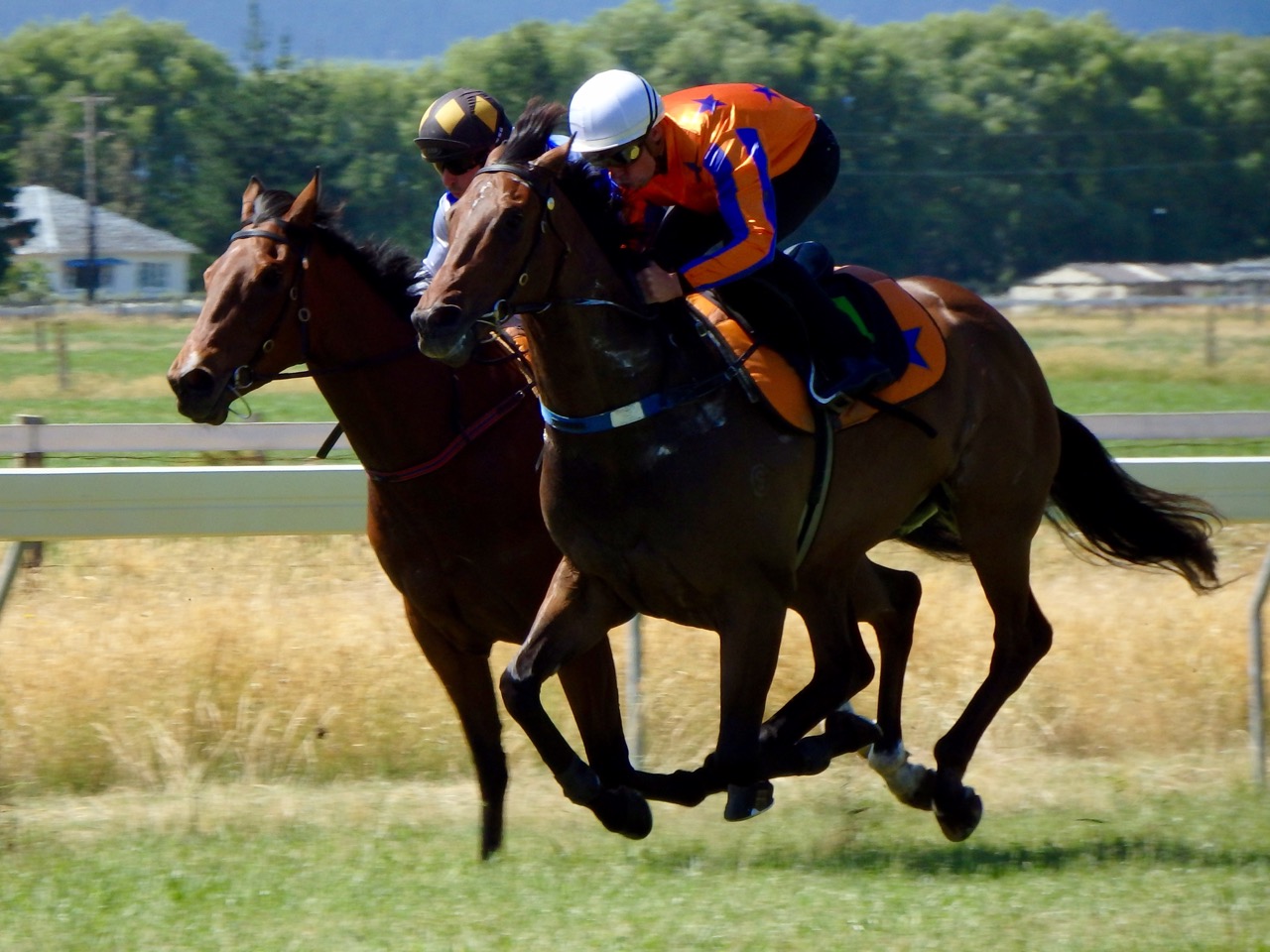 Chambord title trial