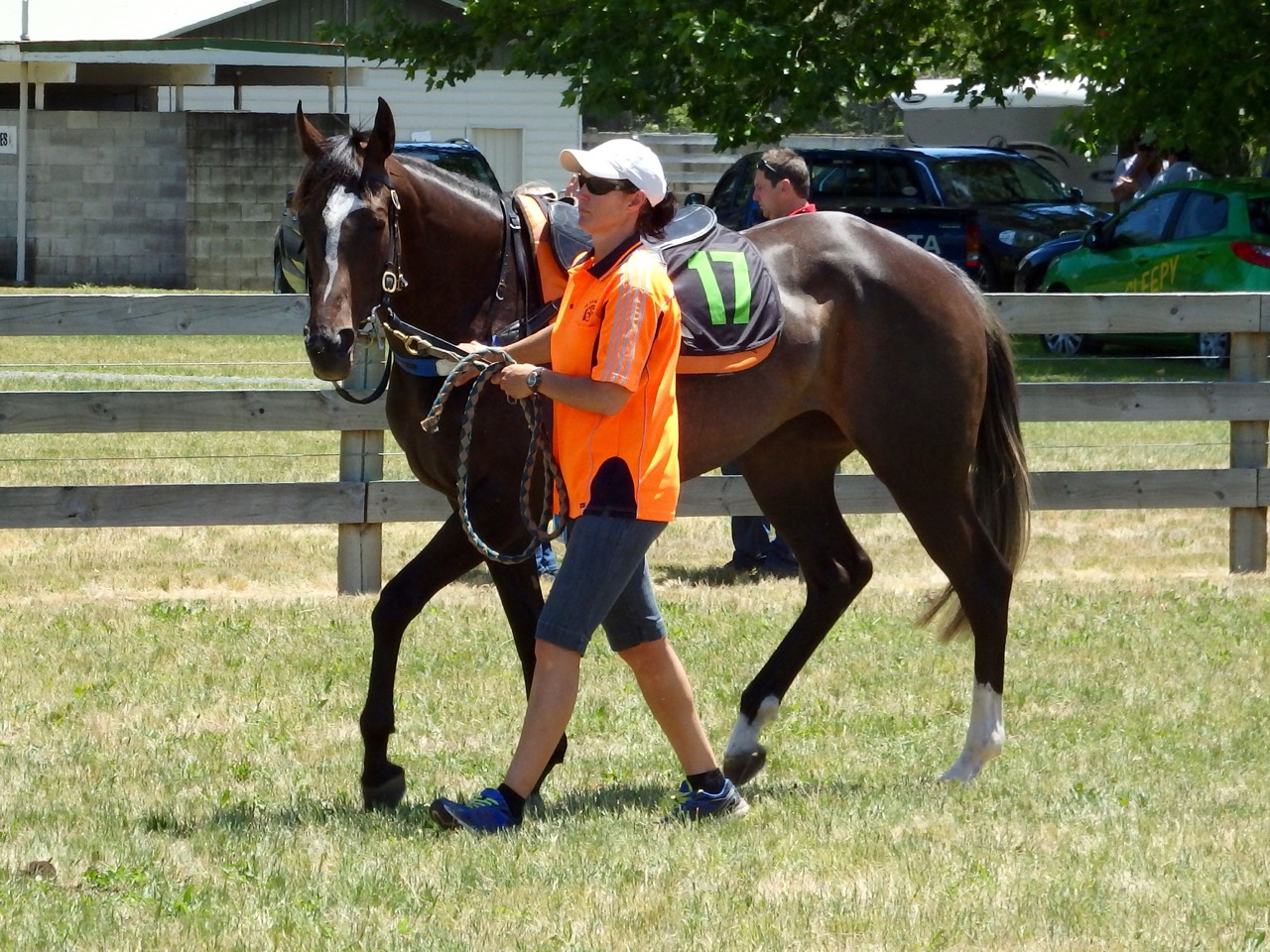 High Chap Star Nov trial