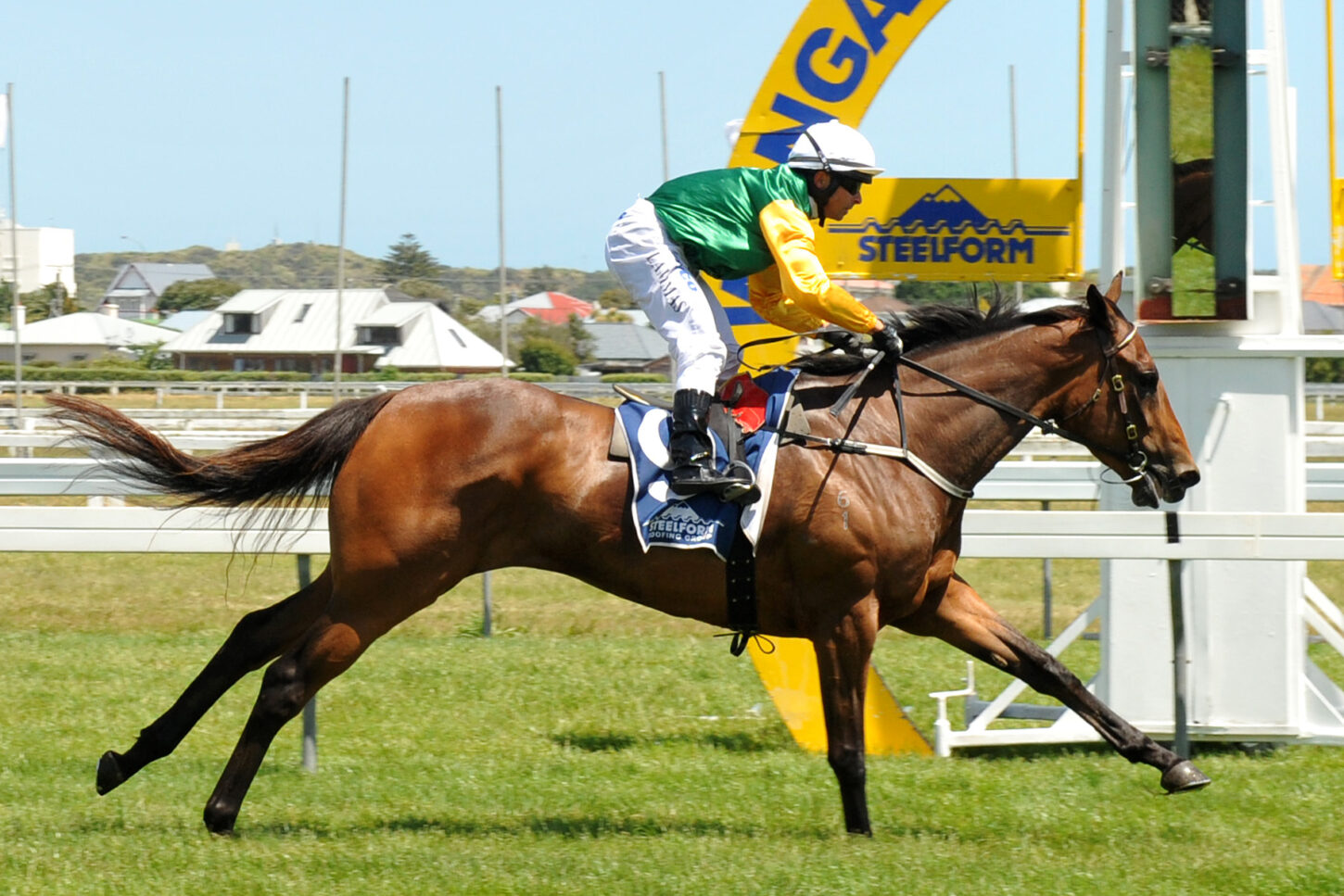 SHILLELAGH WANGANUI 28-11-2015 JEFF