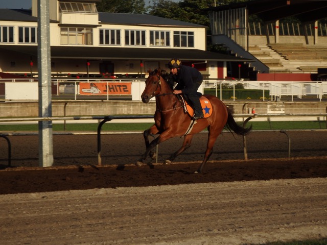 Astrid track Dec 2015