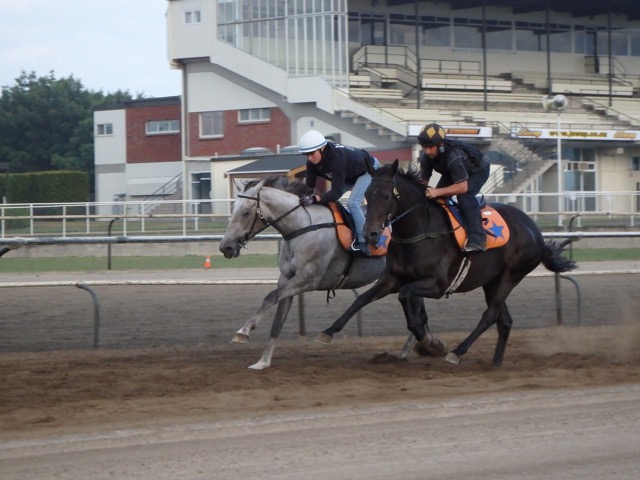 Carmen and Cab track NYE
