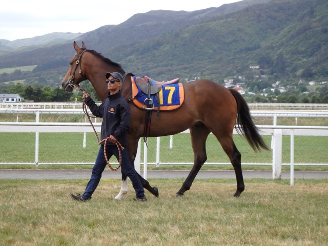 Charge Forward Imp Dec 2015 trial