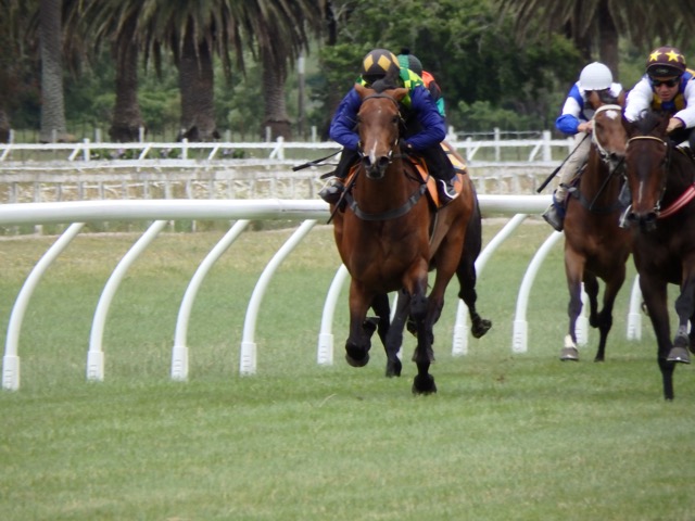 El Hermano Dec 2015 trial