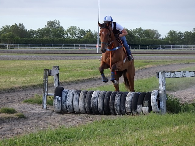 Hushed jumps