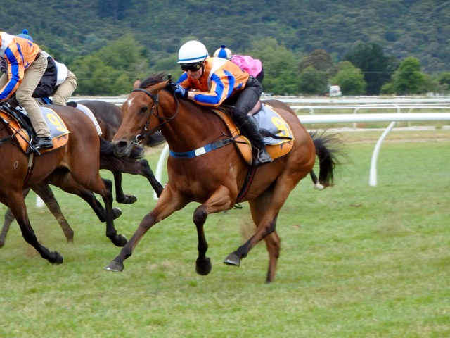 Leonessa Dec 2015 trial