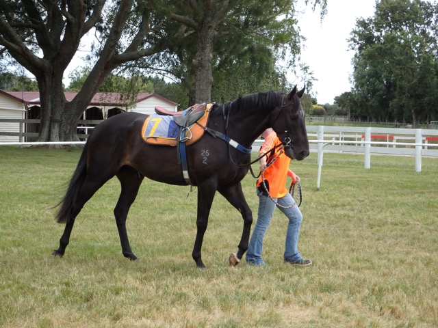 Zambezi Warrior Dec 2015 trial