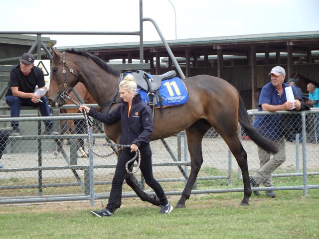 Adele Jan trial 2016