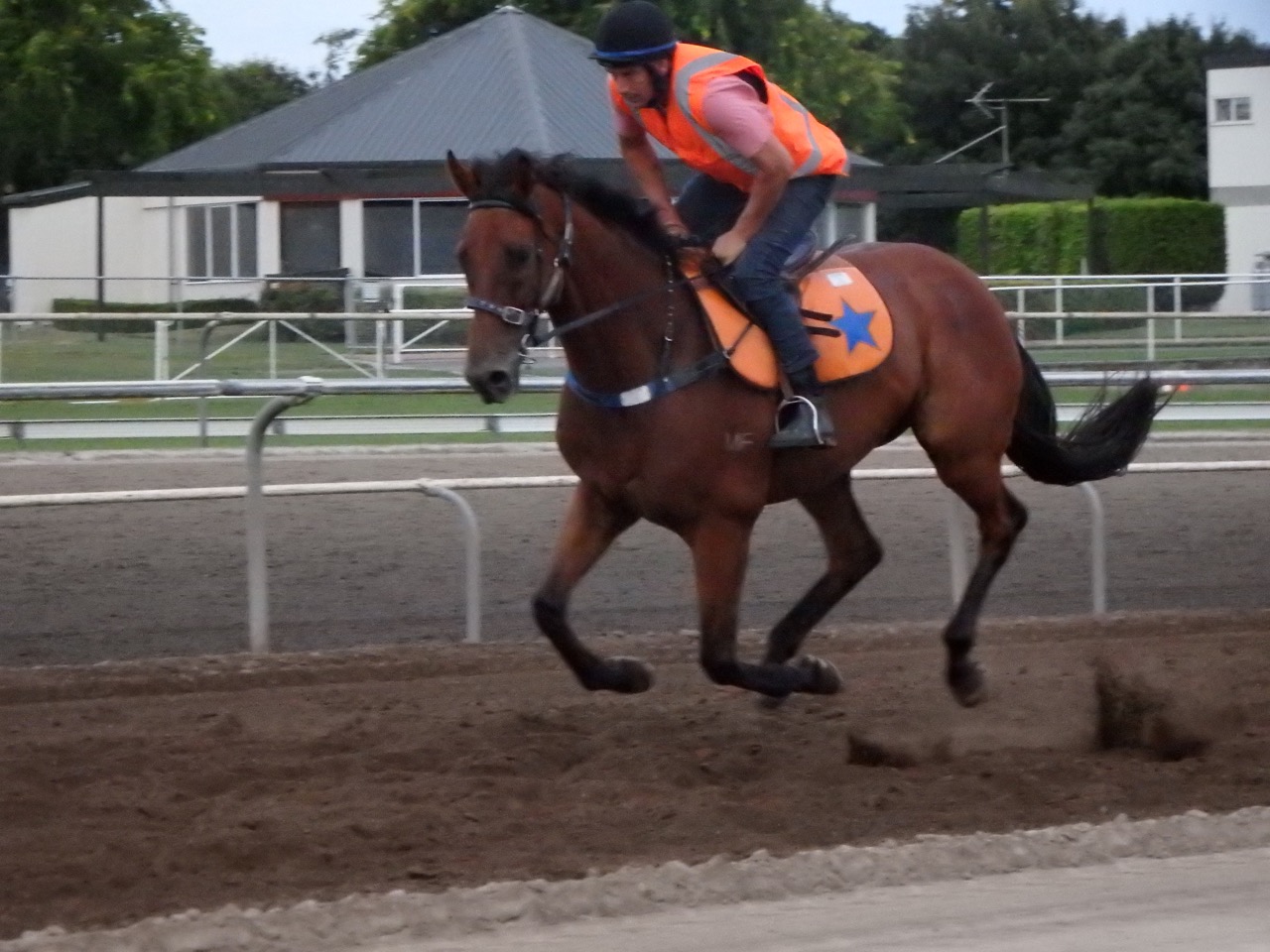 Alert Jan trackwork