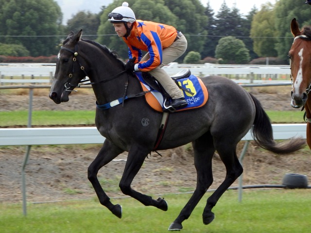 Murt Jan trial 2016
