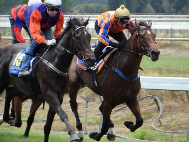 PDavone Jan trial 2016