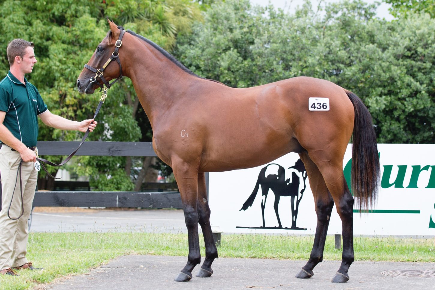 Pour Moi x November Rain colt Lot 436-2 smaller