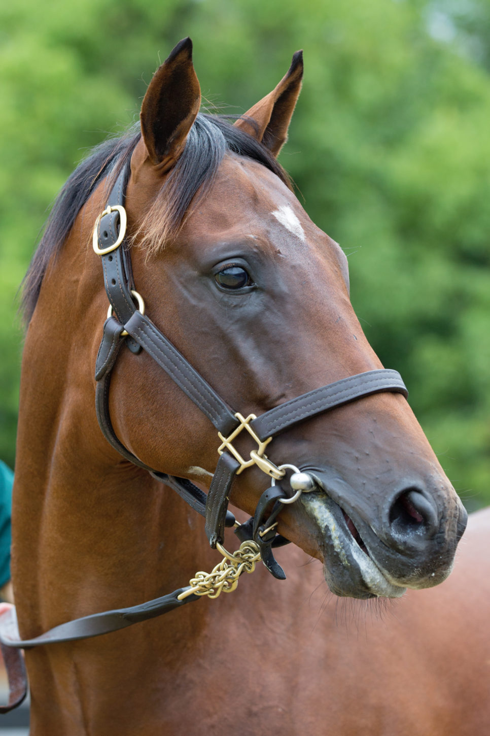 Pour Moi x November Rain colt Lot 436-3