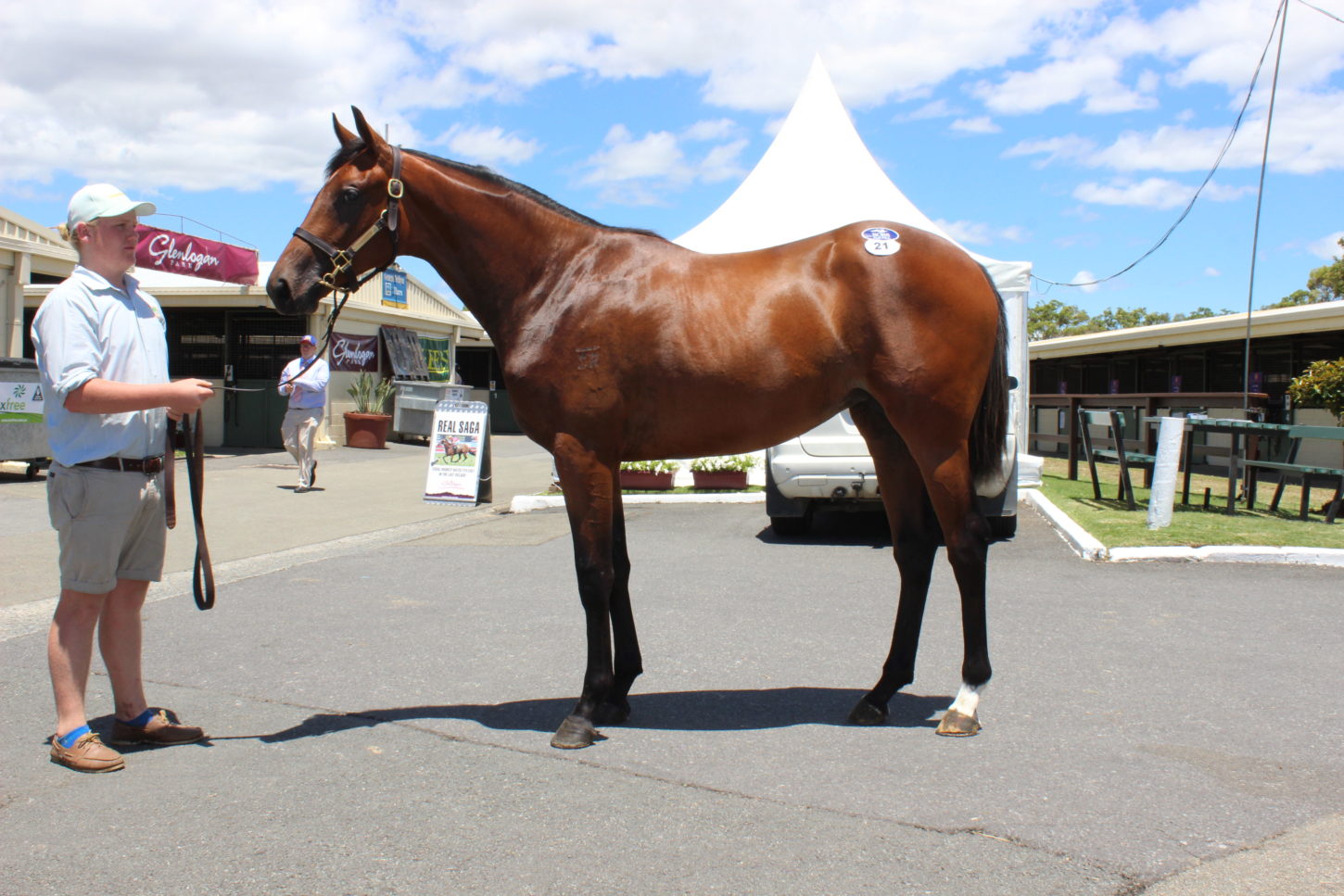 lot 21