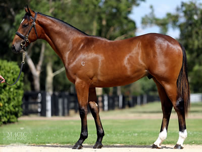 pierro x irishlight_400
