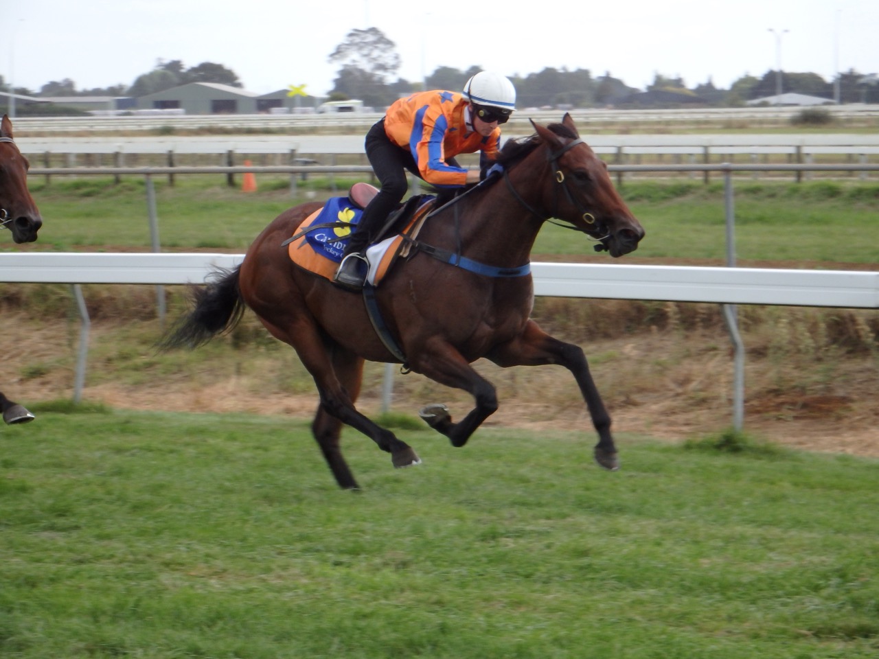 2f ala ensor feb trial