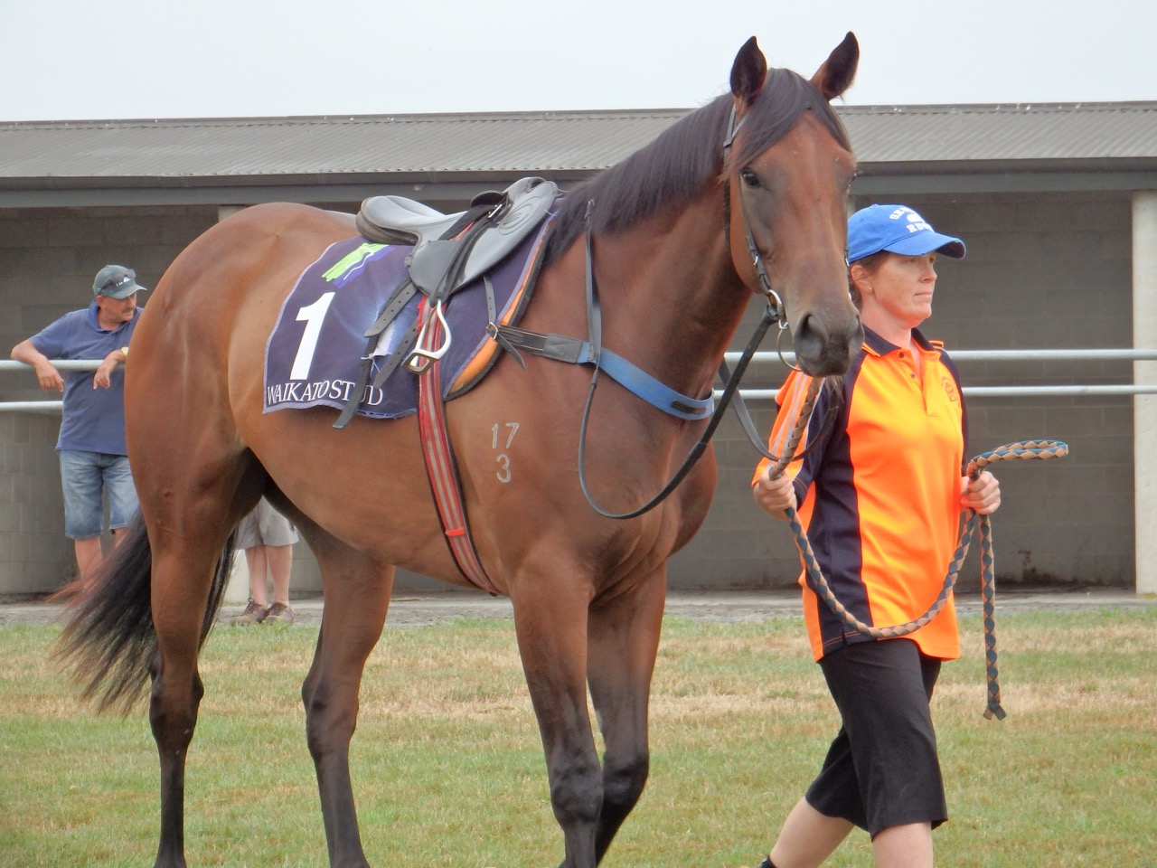 Dame Margo feb trials