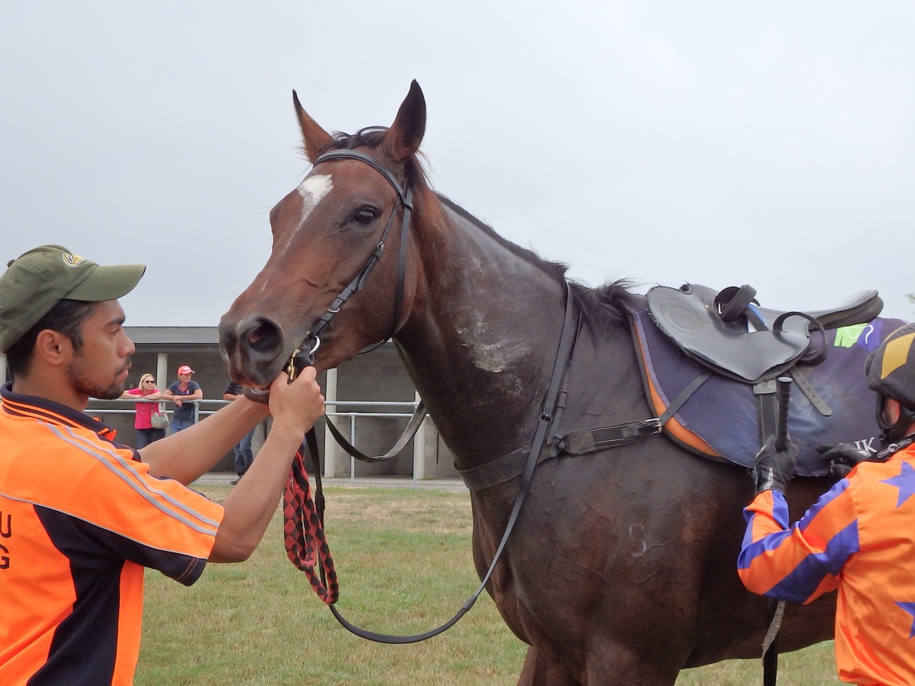 Forty Winks Feb trial