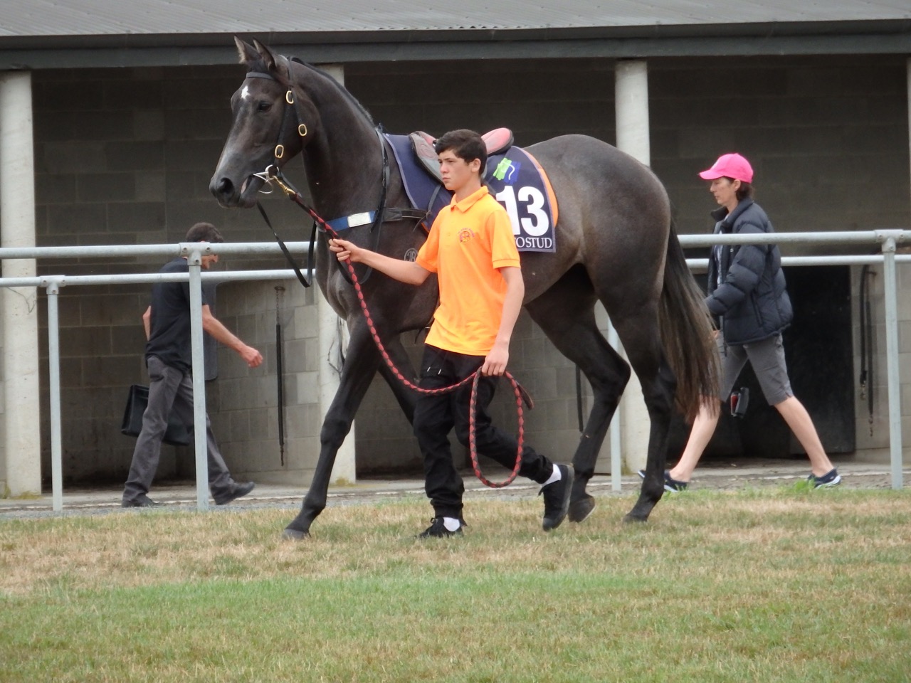 Murt for better feb trial
