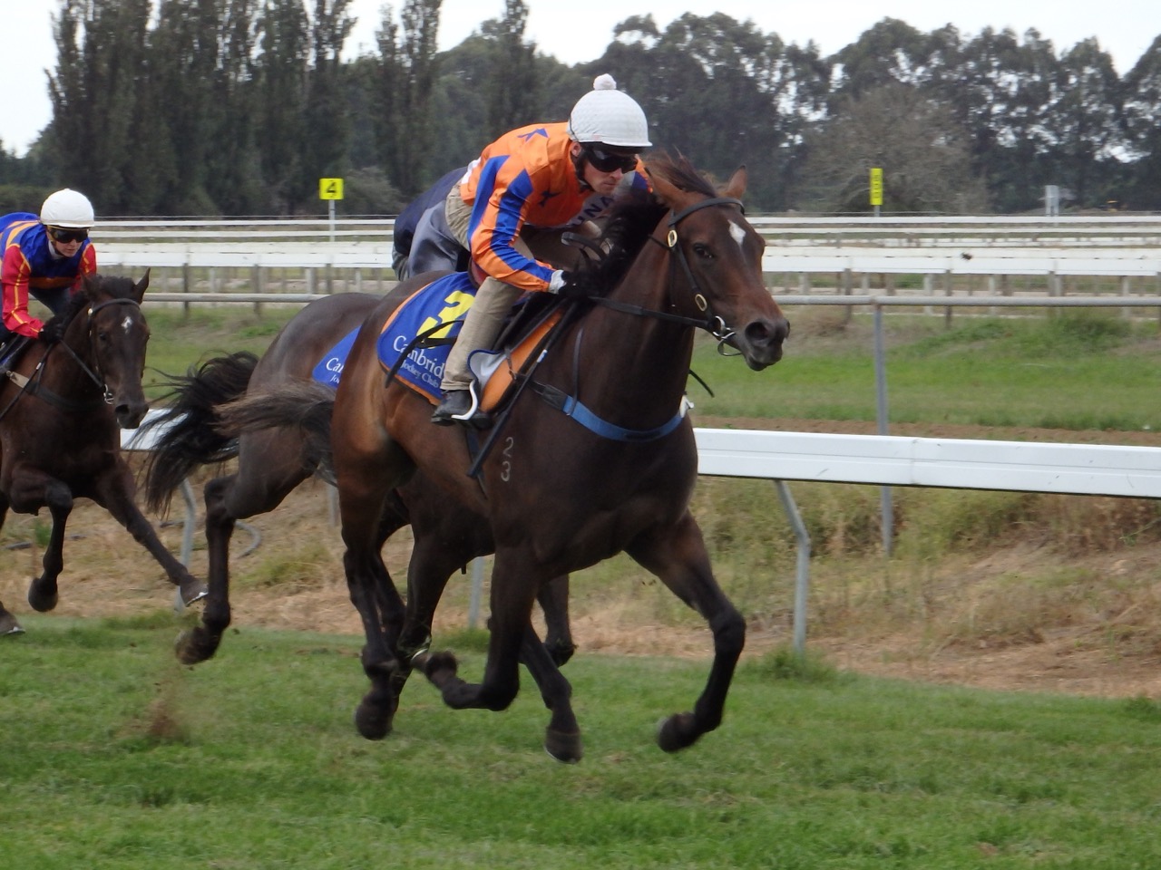 lady J feb trial