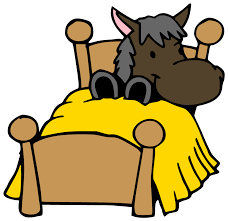 Horse in bed