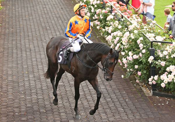 Matthew+Cameron+Xtravagant+Melbourne+Racing+llYVyhY0TTQl