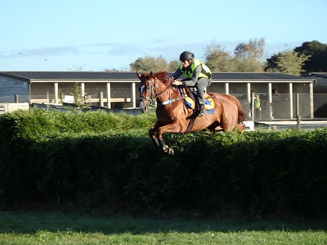 Brer track work April