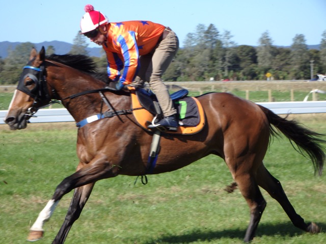 Charge Imp Te Teko