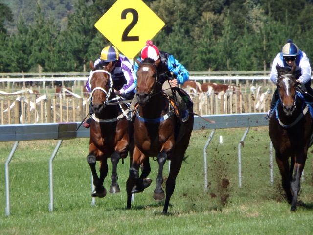 Echo Rep Te Teko