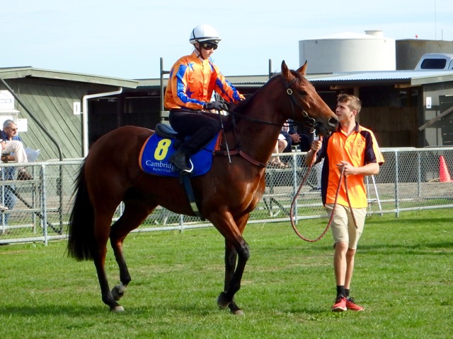 Astrid Camb trial