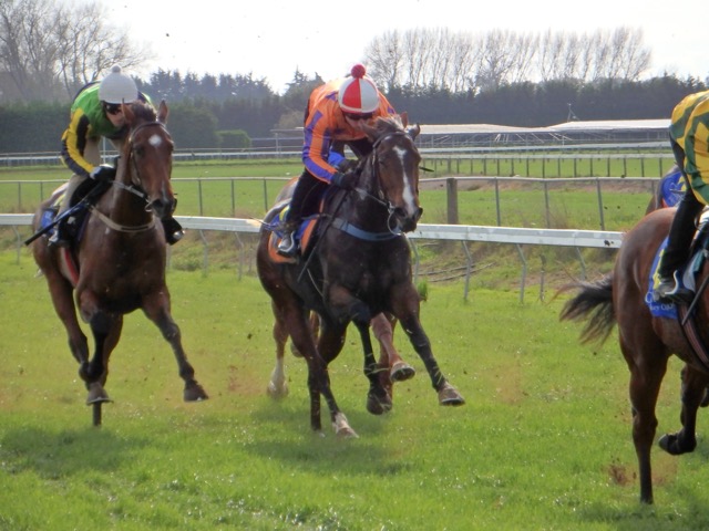 Bob camb trials
