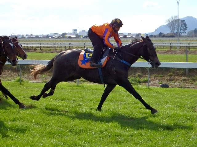 Murt Camb trial