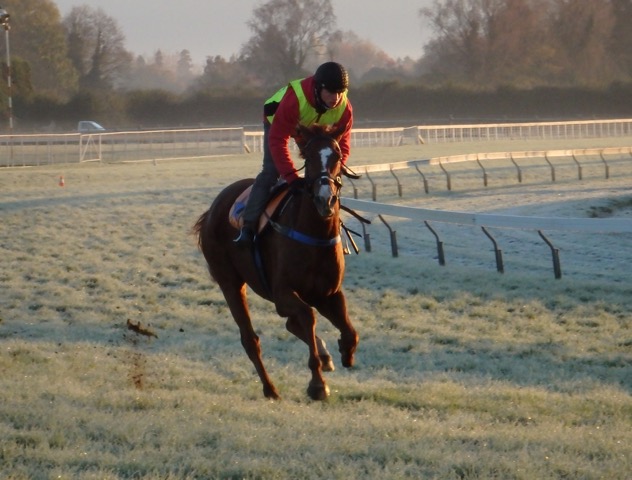 Brer 4 June