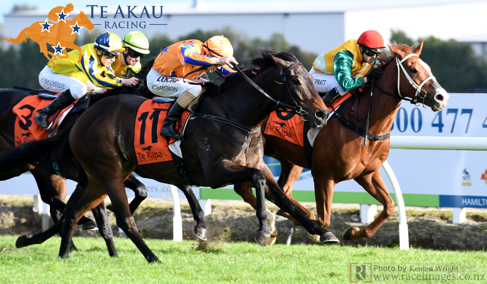 ROYAL SUCCESS JEFF TE RAPA