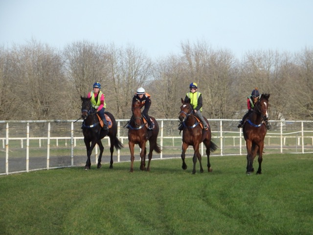 Beau and co