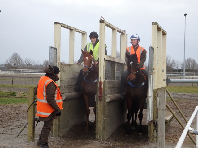 STEVE AND BARRIERS (2)
