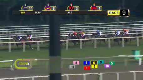 RACE 9