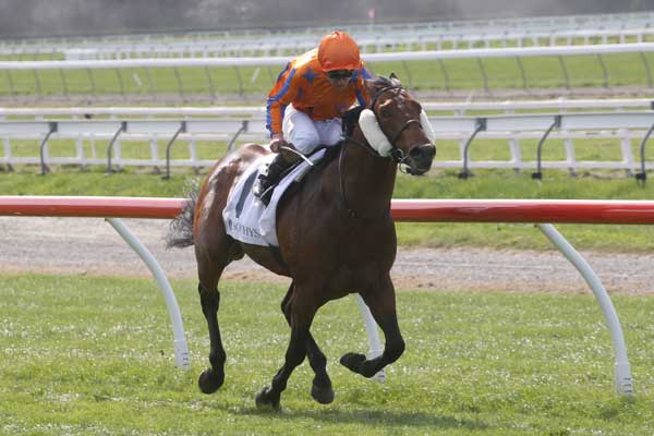 HALL-OF-FAME-ACTION-ONE-5854