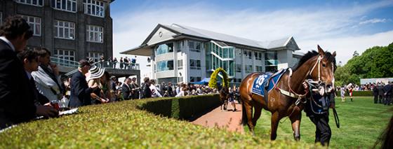 Riccarton-630x240
