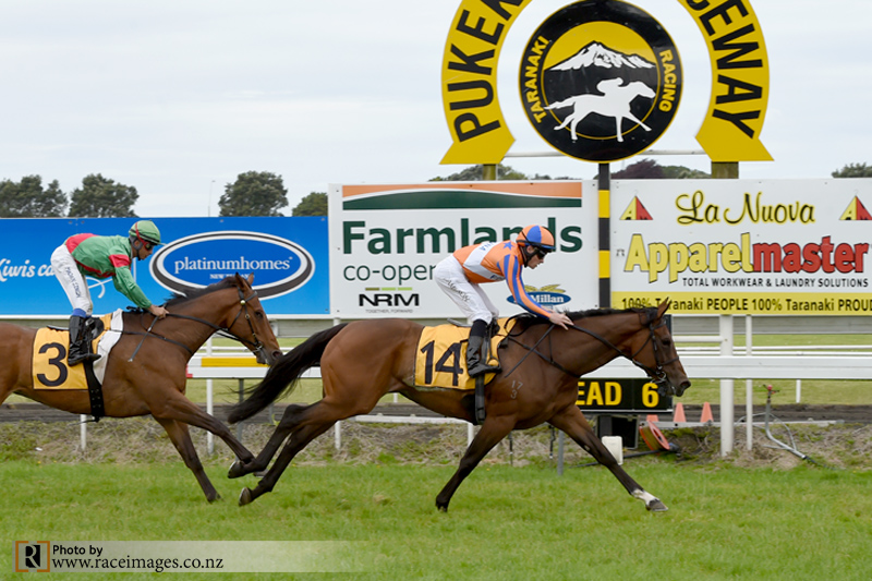 DAME MARGO FONTEYN - TARANAKI 1-12-2016