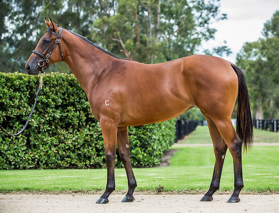Fastnet Rock:Keep On Singing Bay Filly