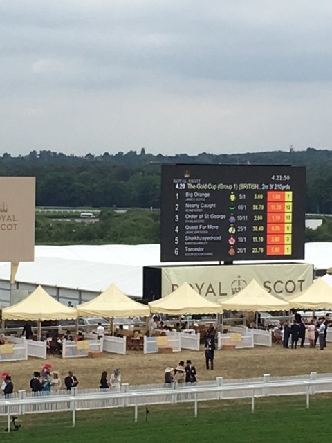 Ascot 16