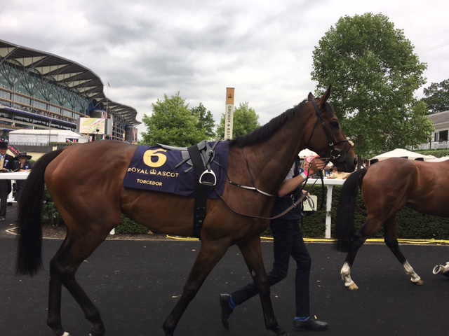 Ascot 9