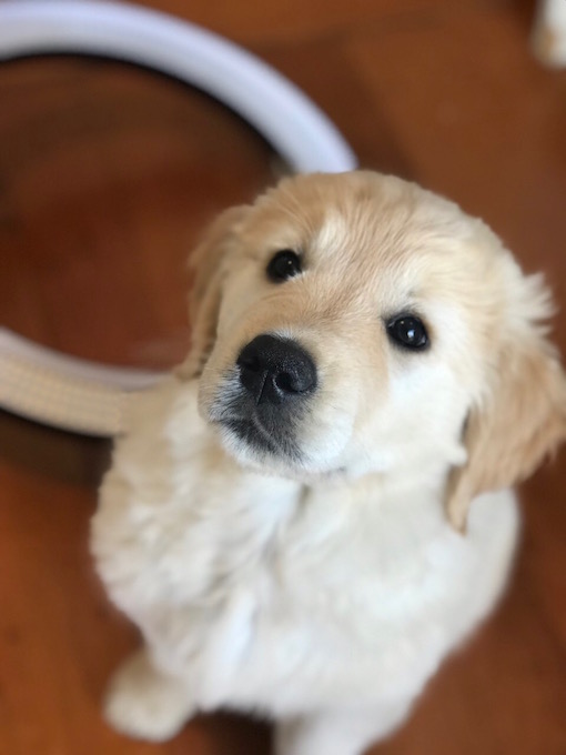 Beaudy