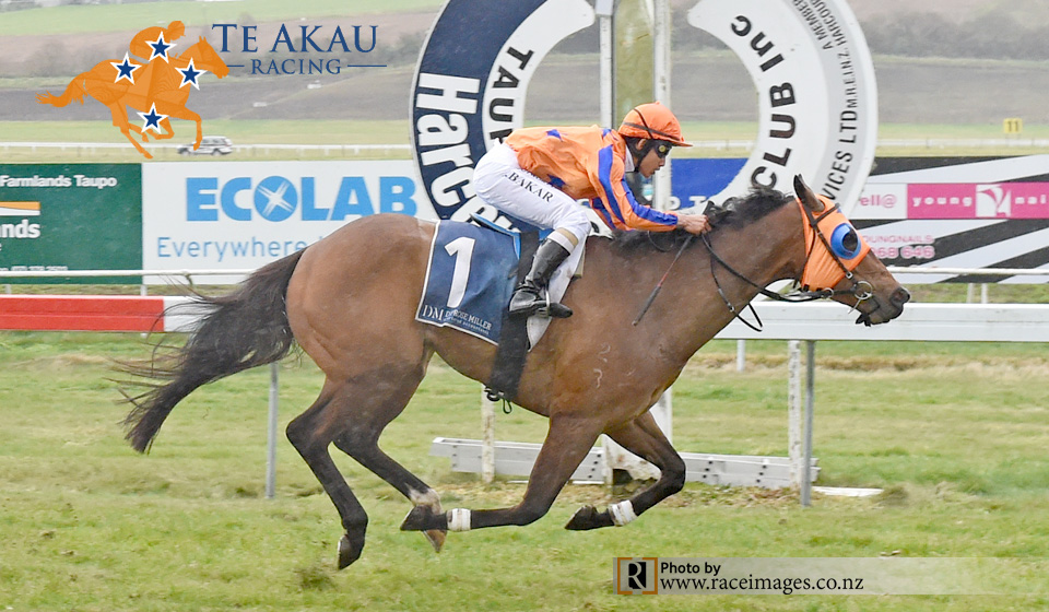 DON'TBLAMETHEMUSIC - TAUPO 22-8-2018 RACE IMAGES (002)