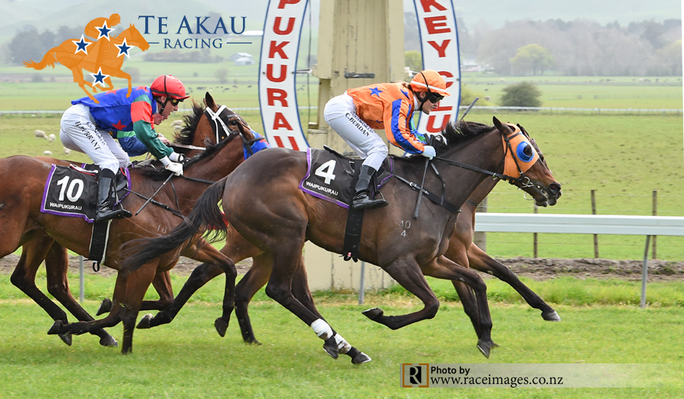 LADY ZERAPH - WAIPUKURAU 27-9-2018 RACE IMAGES