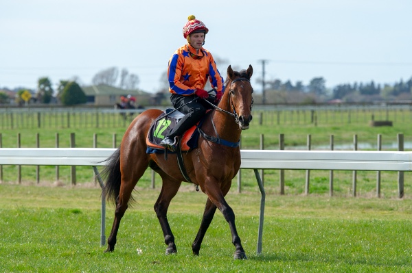 Aotea trial 3